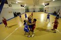 Basket 443089